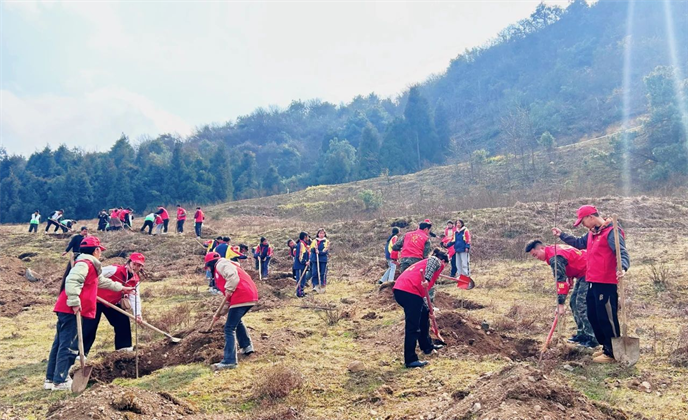 1710487119745310.png 圖片6.png