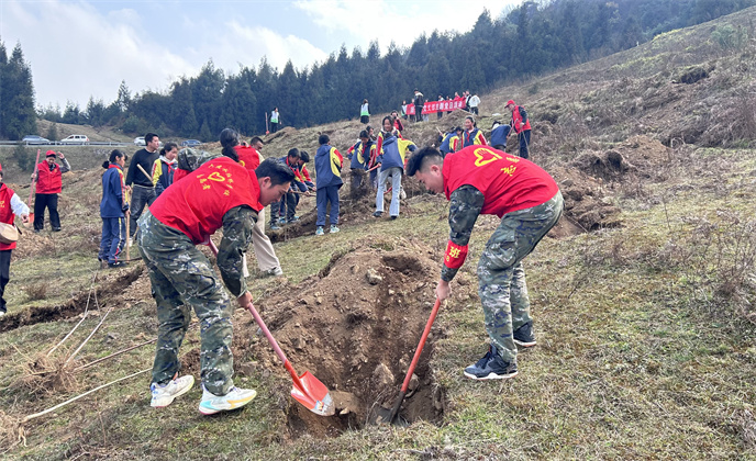 1710487132112803.jpg f560ecca7b205cf8c9eb560de8e509a.jpg