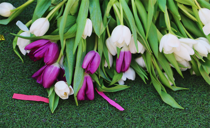 1741827880640312.jpg 3b0d5e7e2ff77186bf1d1cefd06cad3.jpg